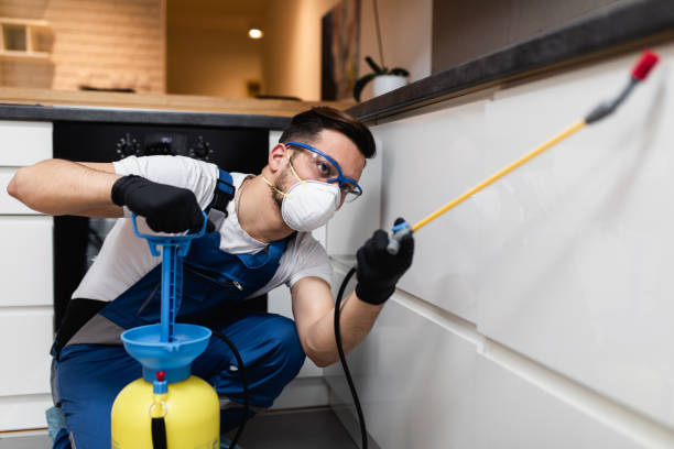 Best Commercial Pest Control Services  in Falcon Heights, MN