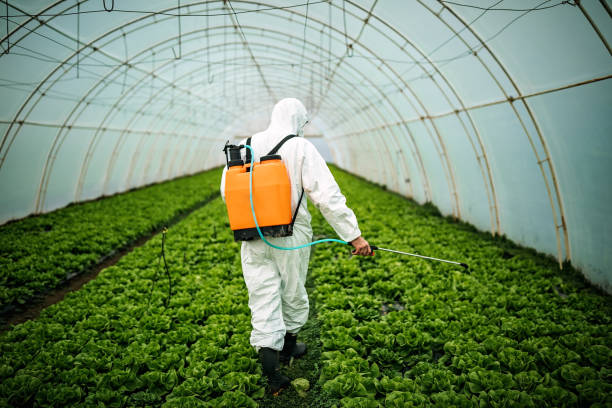 Best Local Pest Control Services  in Falcon Heights, MN