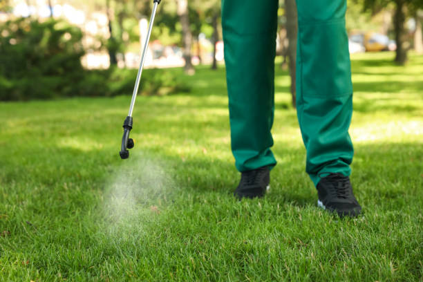 Best Flea Control Services  in Falcon Heights, MN