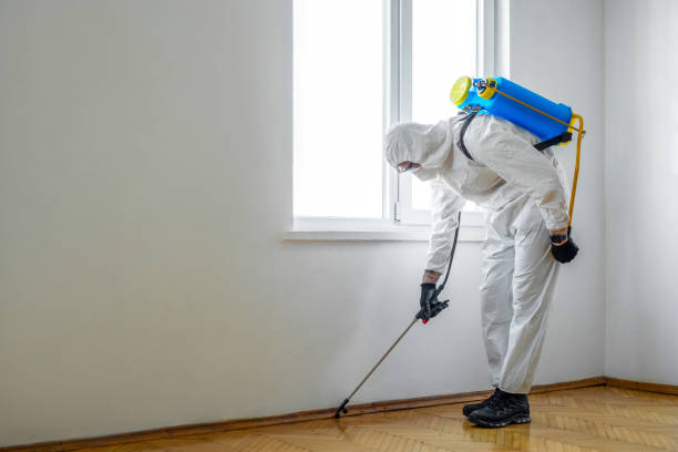 Best Pest Control Near Me in Falcon Heights, MN