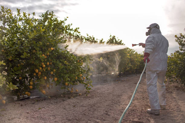 Pest Control Cost in Falcon Heights, MN