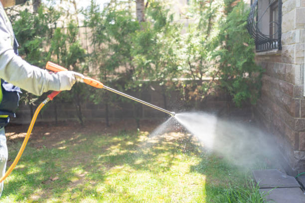 Best Pest Inspection Near Me  in Falcon Heights, MN