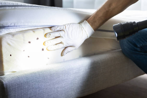 Best Pest Removal Services  in Falcon Heights, MN