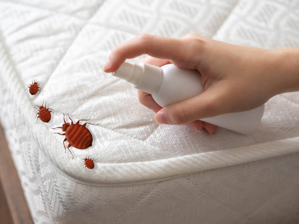 Falcon Heights, MN Pest Control Company