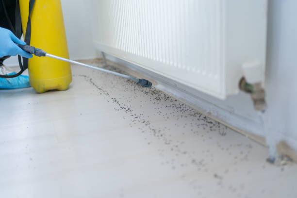 Best Rat Extermination Near Me  in Falcon Heights, MN